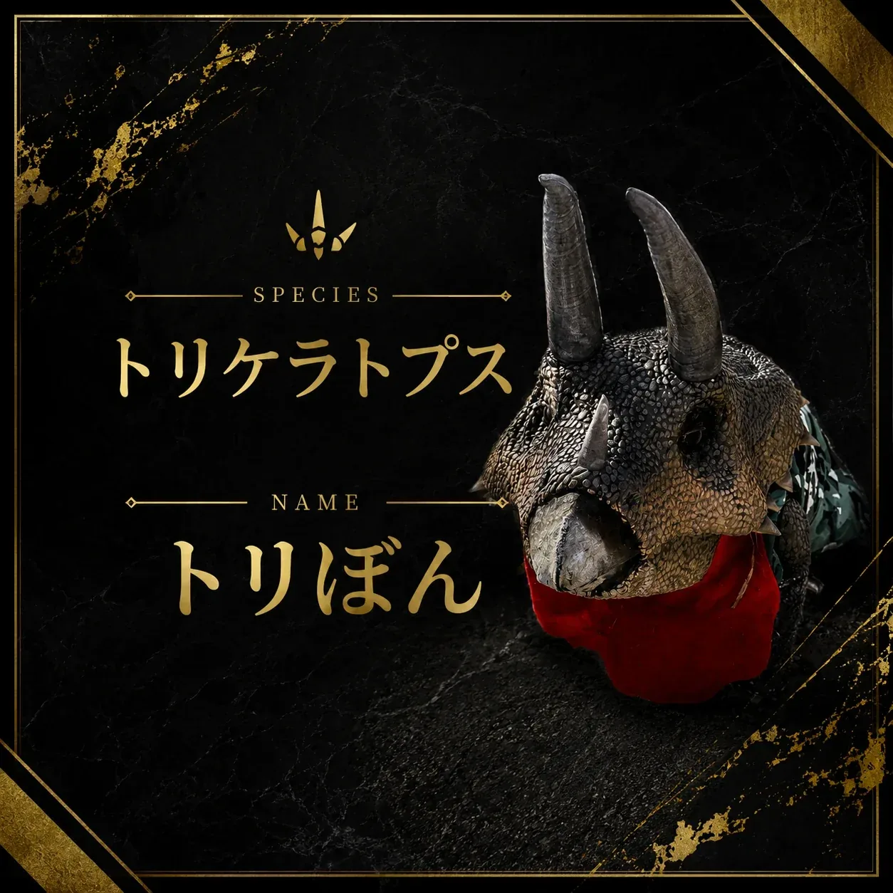 トリケラトプスのキャラクター「トリぼん」